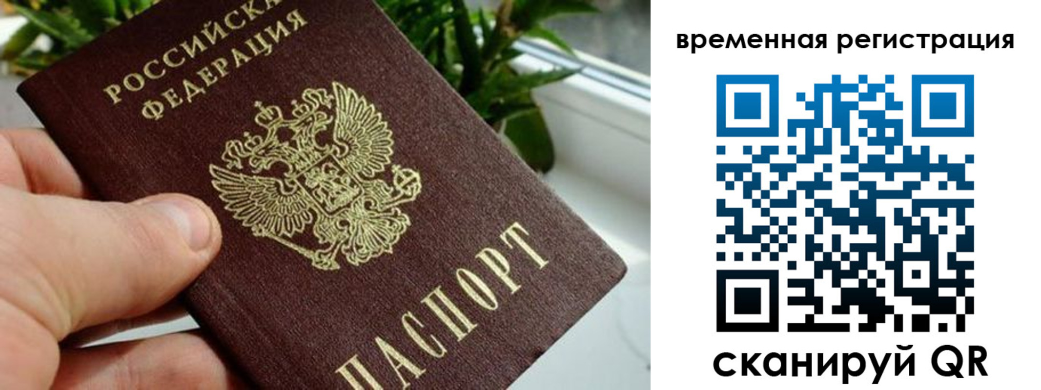 прописка поиск в Пестово